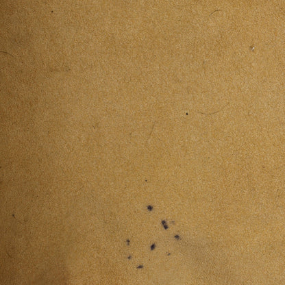 Louis Vuitton Galliera Handbag Monogram Canvas Pm