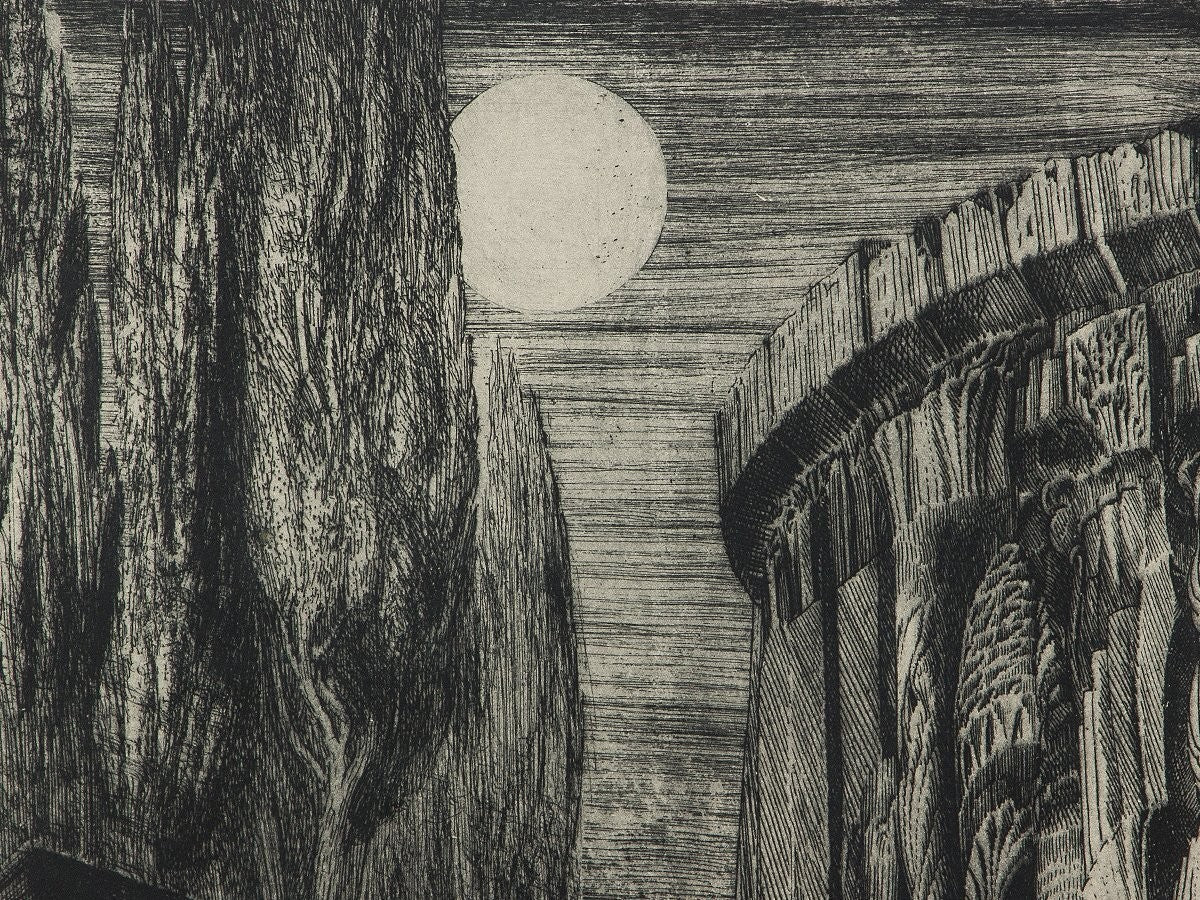 Ernst Fuchs Birth Of Venus Etching, Signed, Very Rare Ed.20, Fantastic Realism