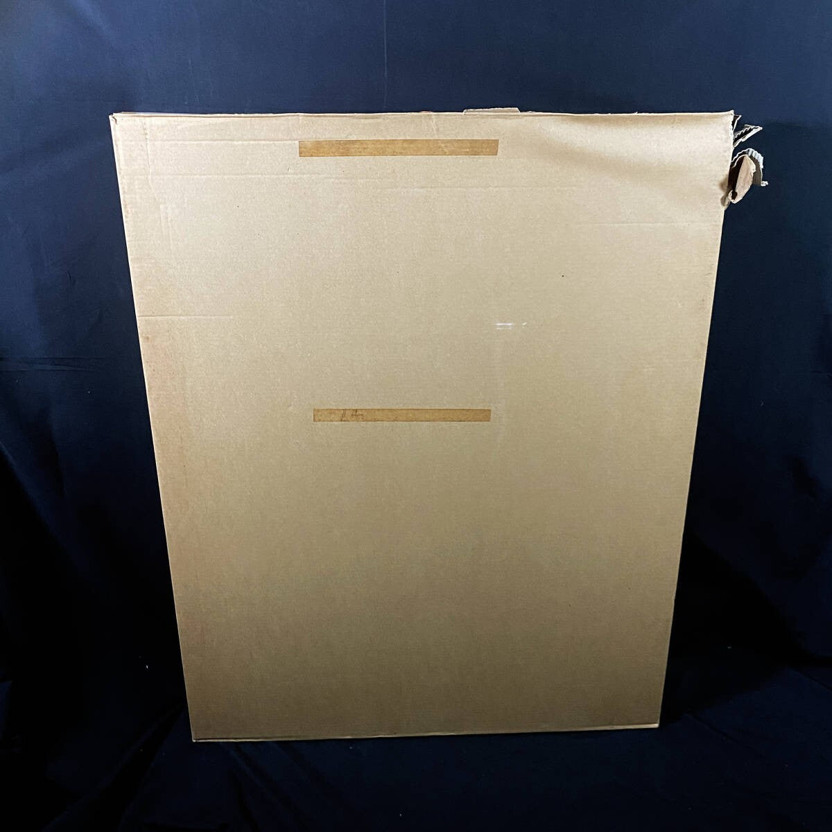 Captain Harlock My Youth In Arcadia Signed Original Silkscreen Print Framed