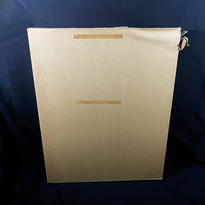 Captain Harlock My Youth In Arcadia Signed Original Silkscreen Print Framed