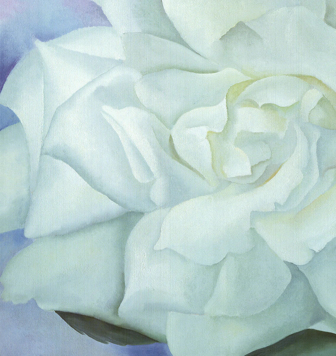 Georgia O'Keeffe White Rose With Larkspur No.2 " Offset Lithograph