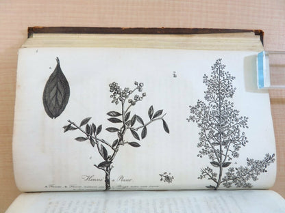 Travels in Upper and Lower Egypt 1799 London - Charles Nicolas Sigisbert Sonnini