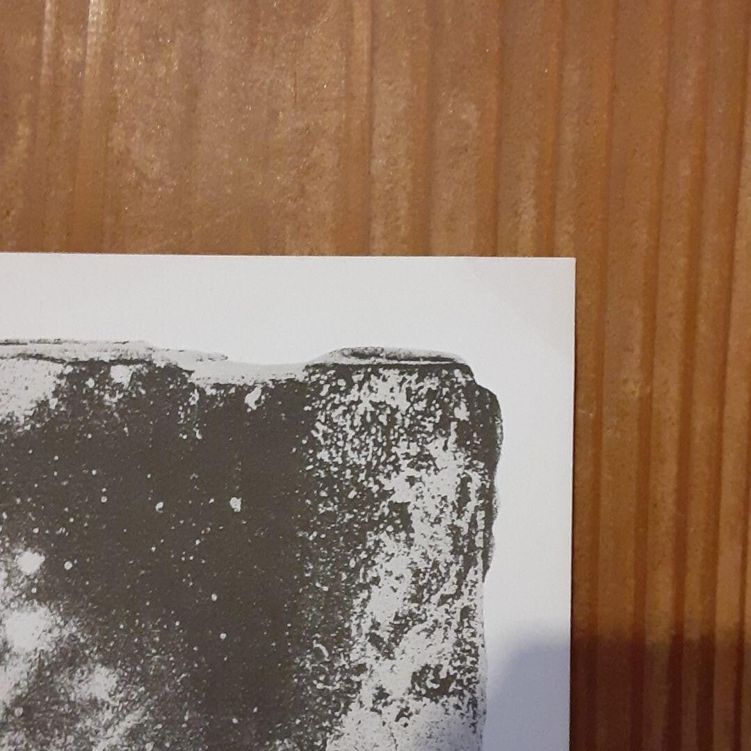 Jasper Johns Museum Of Art Risd - Recent Still Life 1966 Offset Poster Vintage