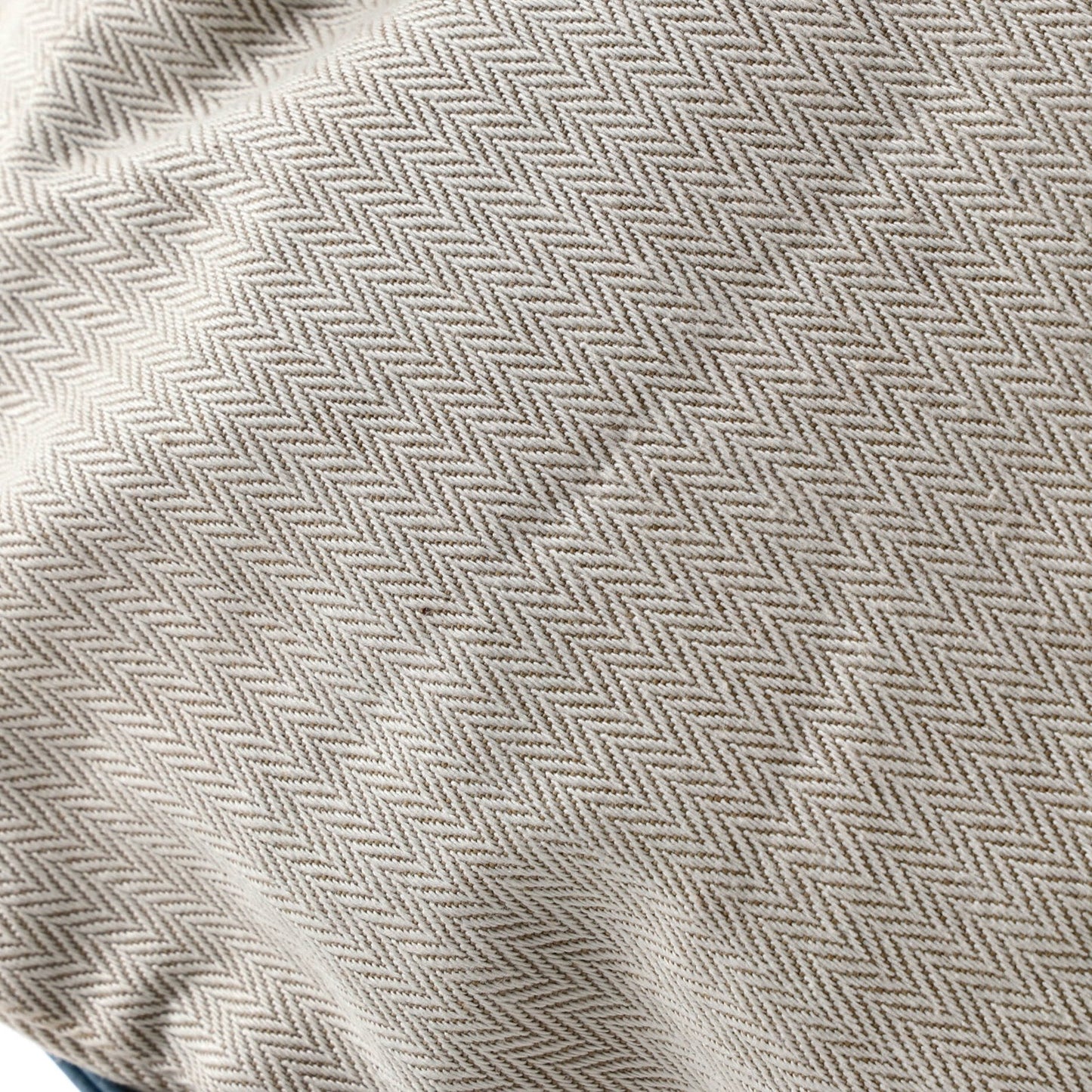 Hermes Aline Bag Toile Pm