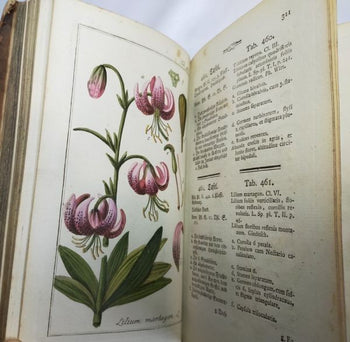 Johannes Zorn Icones Plantarum Medicinalium Vol V 1784 1St Ed Hand Colored Plate