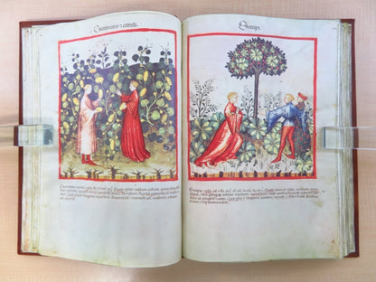 Tacuinum Sanitatis In Medicina. Codex Vindobonensis Series Nova 2644 Facsimile