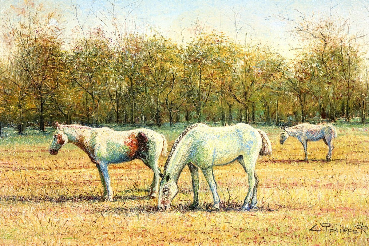 Valerie Pfeiffer Original Oil Painting -White Horses San Antonio De Areco Signed