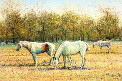 Valerie Pfeiffer Original Oil Painting -White Horses San Antonio De Areco Signed