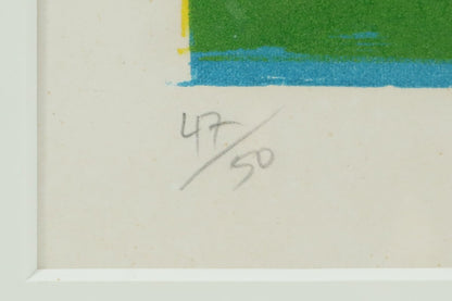 Jos Zaragoza (Brazil) Signed Original Lithograph Soccer 47/50 Sports Art Framed