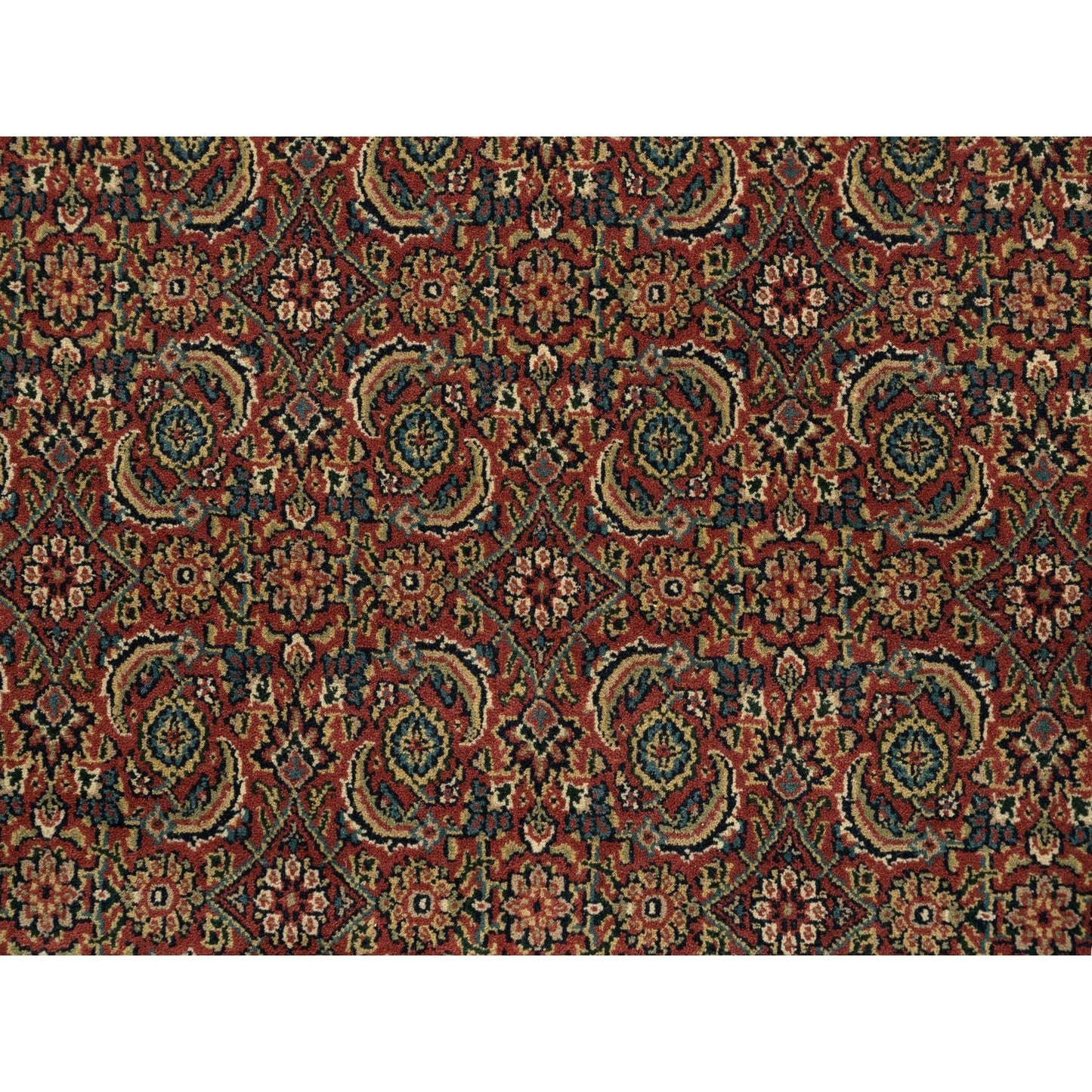 4'1"X6'1" Herati Red New Zealand Wool 250 Kpsi Hand Knotted Rug