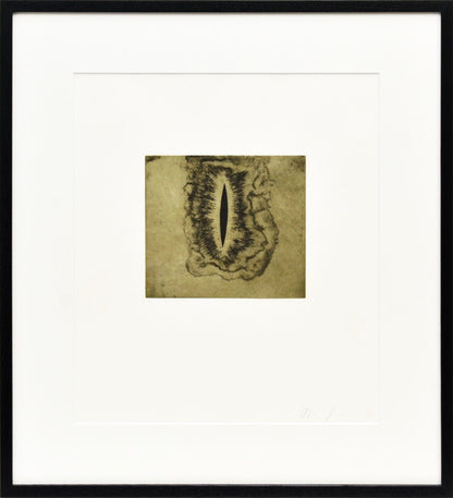 Anish Kapoor Original Etching Pencil Signed