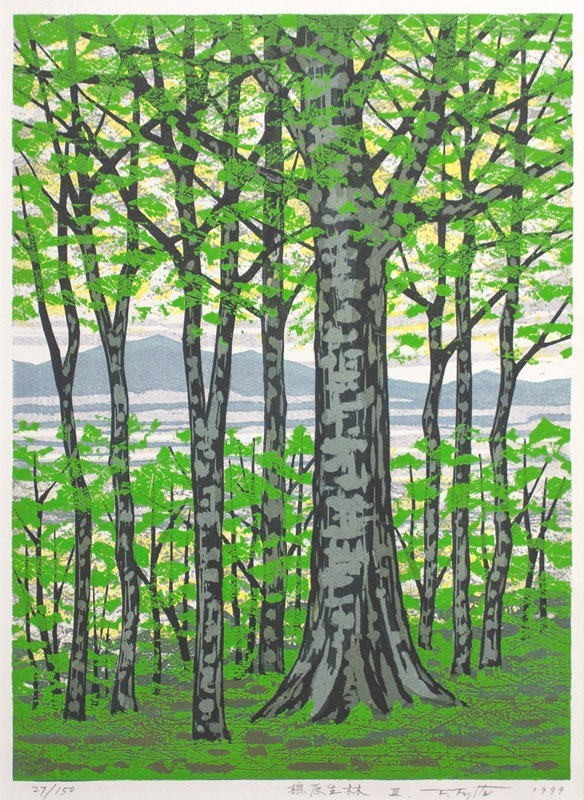 Fumio Fujita Beech Primeval Forest III Woodblock 1999 Signed ED 27/ 150 Framed