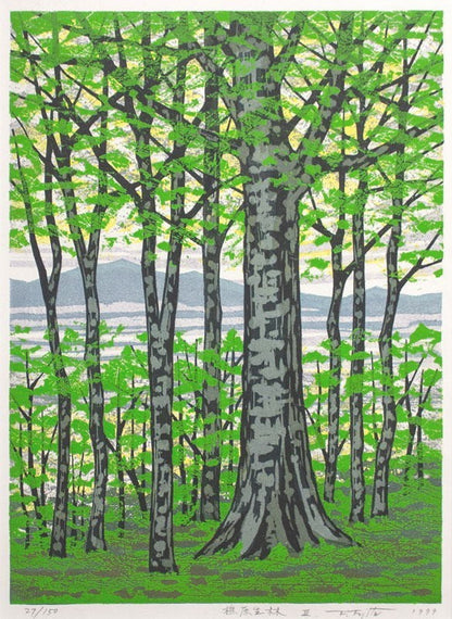 Fumio Fujita Beech Primeval Forest III Woodblock 1999 Signed ED 27/ 150 Framed