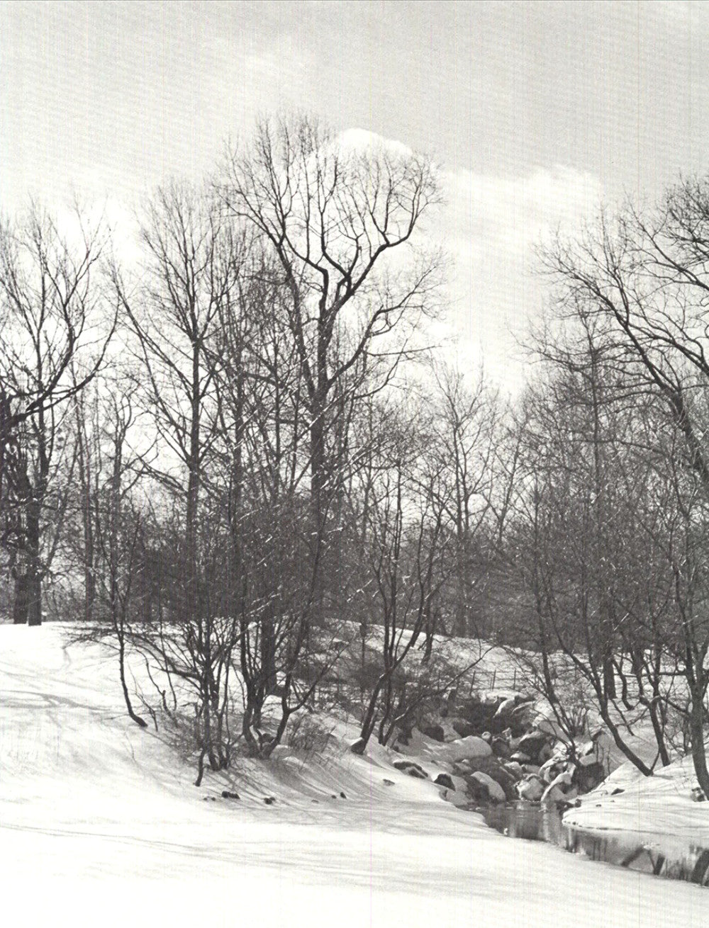 Joel Greenberg Central Park " Offset Lithograph Contemporary