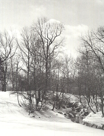 Joel Greenberg Central Park " Offset Lithograph Contemporary