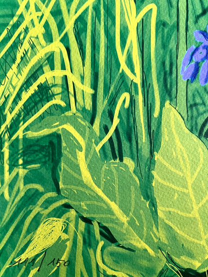 David Hockney Lithograph Handmade Coa Signed Op Numbered Limited &