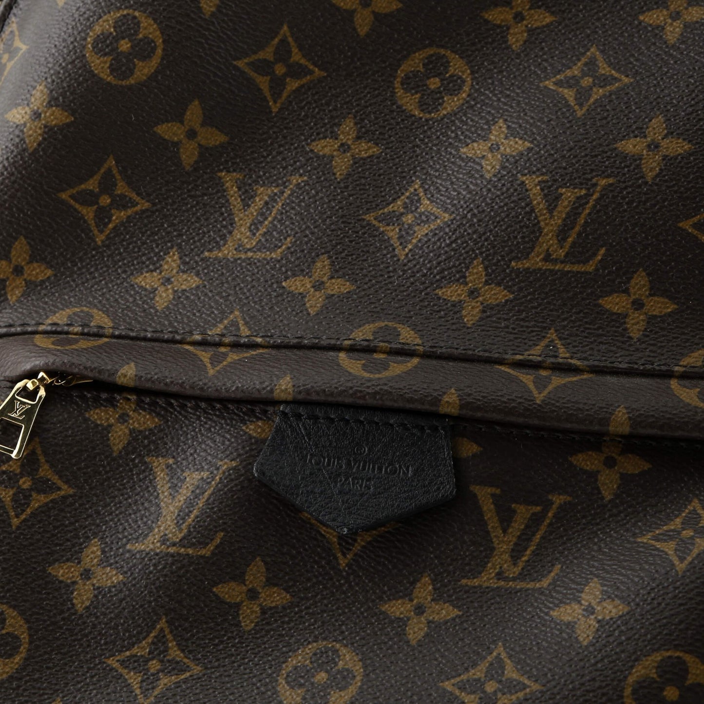 Louis Vuitton Palm Springs Backpack Monogram Canvas Mm
