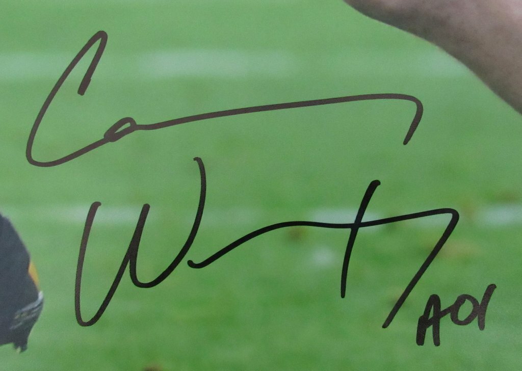 Carson Wentz North Dakota State Signed/Autographed 16X20 Photo Fanatics 144256