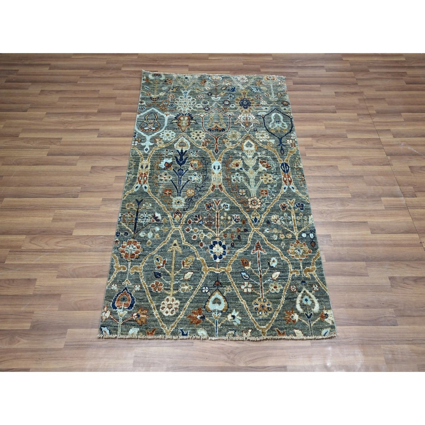 3'1"X5'1" Green Wool Hand Knotted Rug Trellis Borderless Garden Design