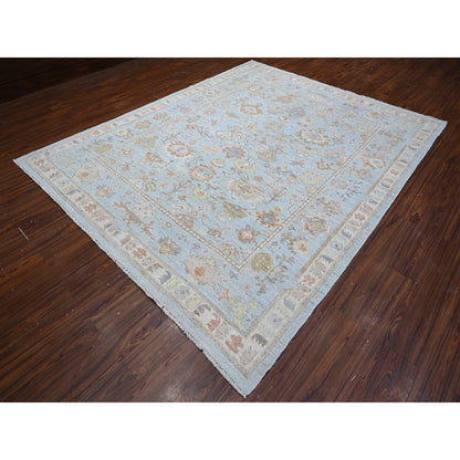 8'4"X10'2" Blue All Over Village Elements Angora Oushak Oriental Rug