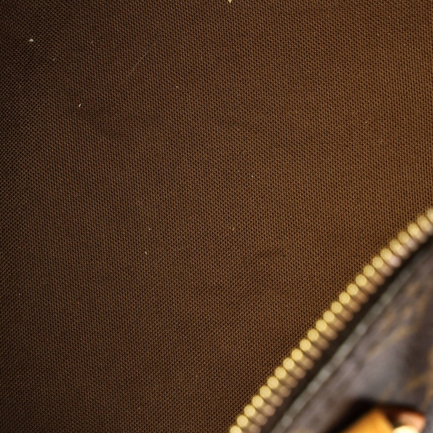 Louis Vuitton Speedy Handbag Monogram Canvas 25