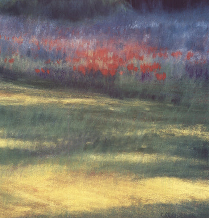 Patricia D'Hooge Meras Summer Evening " Offset Lithograph Con