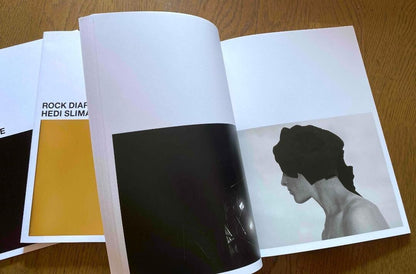 Saint Laurent Celine Box Rock Slimane Hedi Diary 2008 Photography