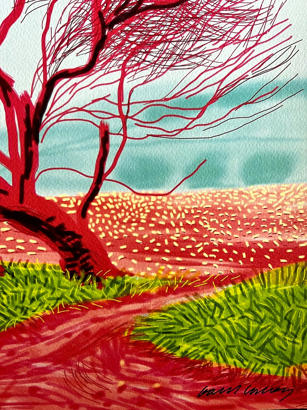 David Hockney Coa Lithograph Signed Op Hand Numbered Limited &^