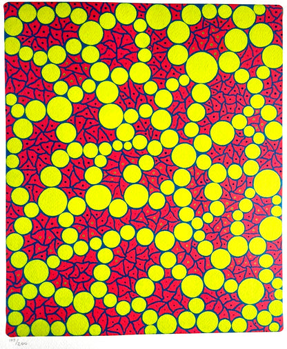 Yayoi Kusama Lithograph Mori Museum Coa Hand Numbered Crayon