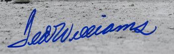 Ted Williams Hof Signed/Auto 16X20 B/W Photo