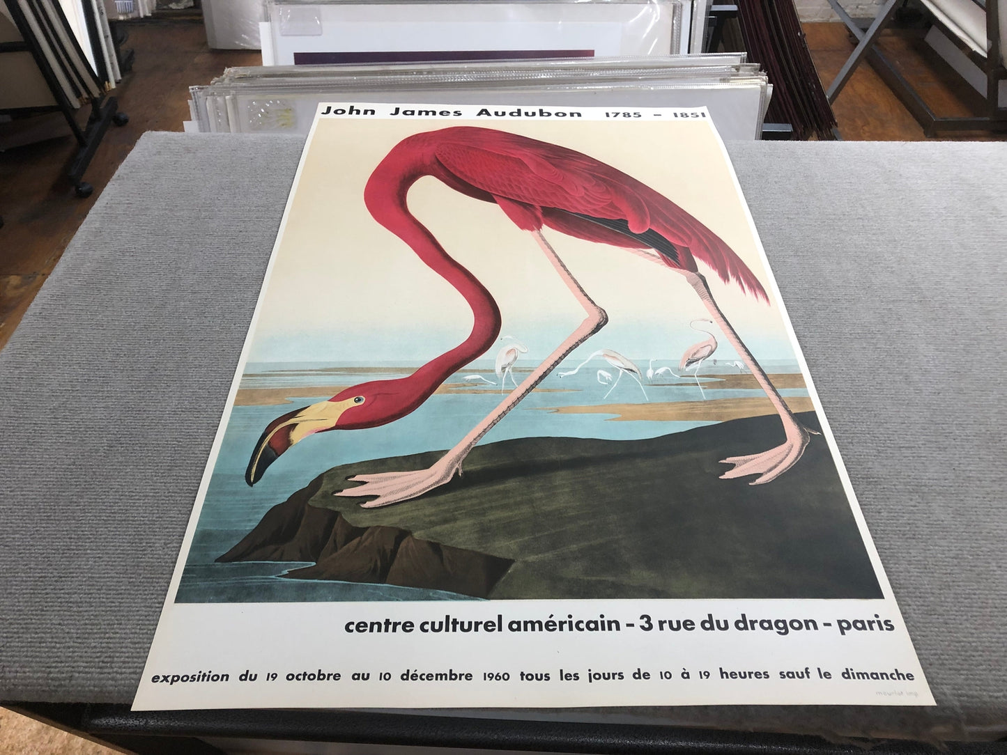John James Audubon American Flamingo " Lithograph Modernism Par