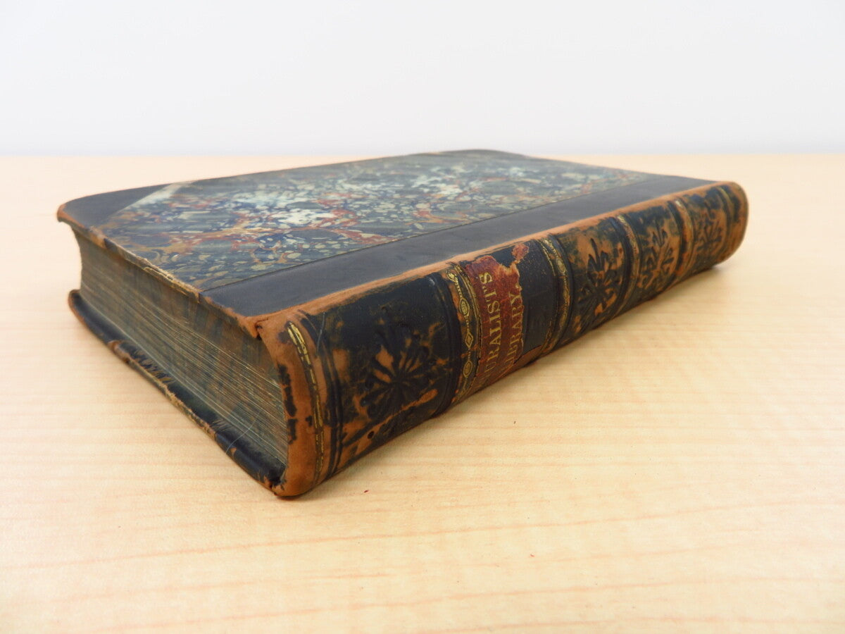 James Duncan?The Naturalist'S Library 4?1836 British Moth Book