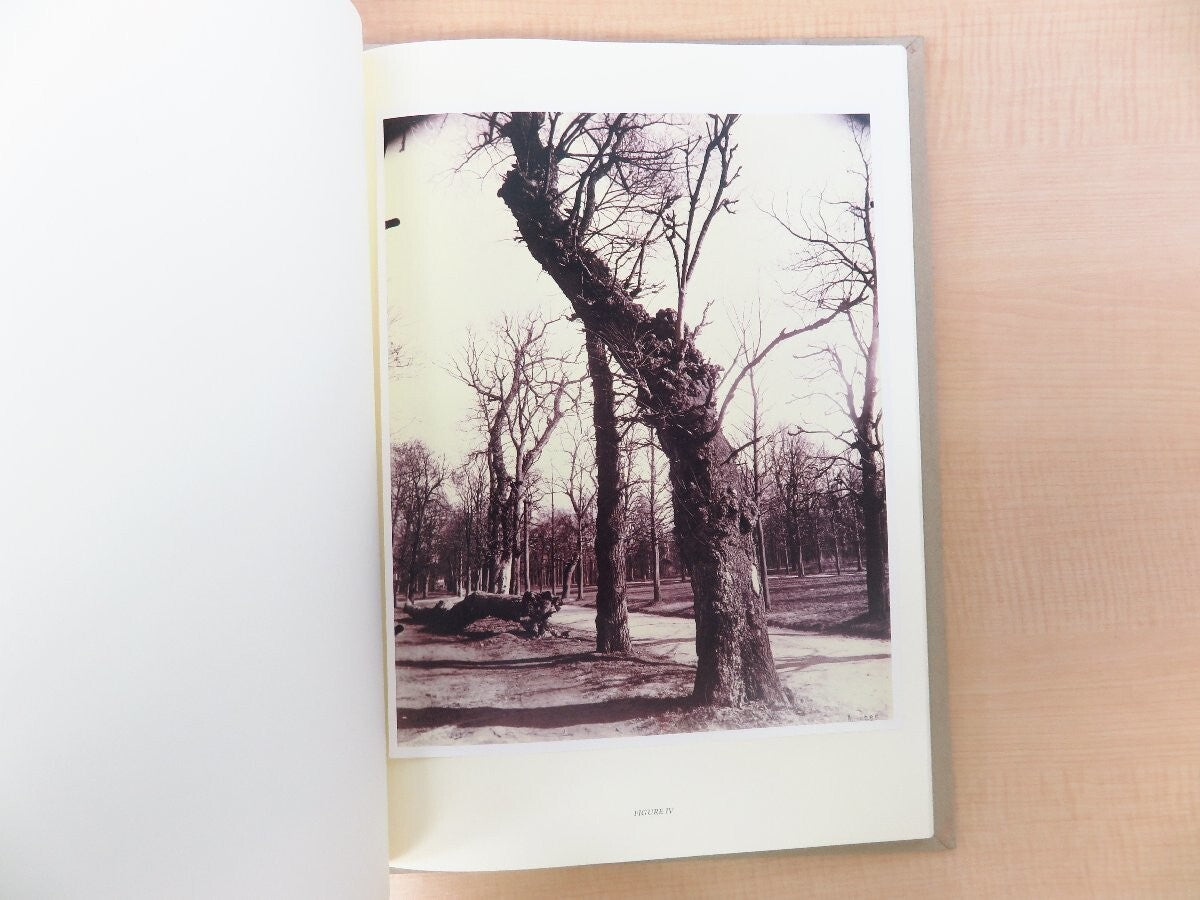 Eugene Atget'S Trees 2003 1St Edition Limited 982/1000 Large Format Photography