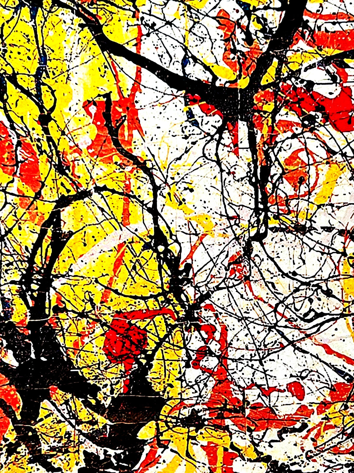 Jackson Pollock Action Painting Coa Signed Numbered In Pencil Limited Edition