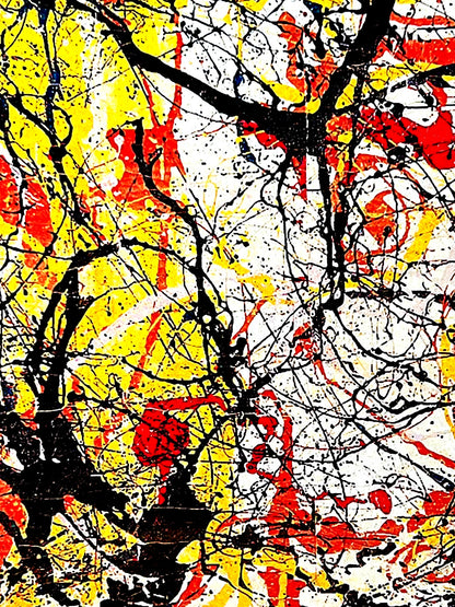 Jackson Pollock Action Painting Coa Signed Numbered In Pencil Limited Edition