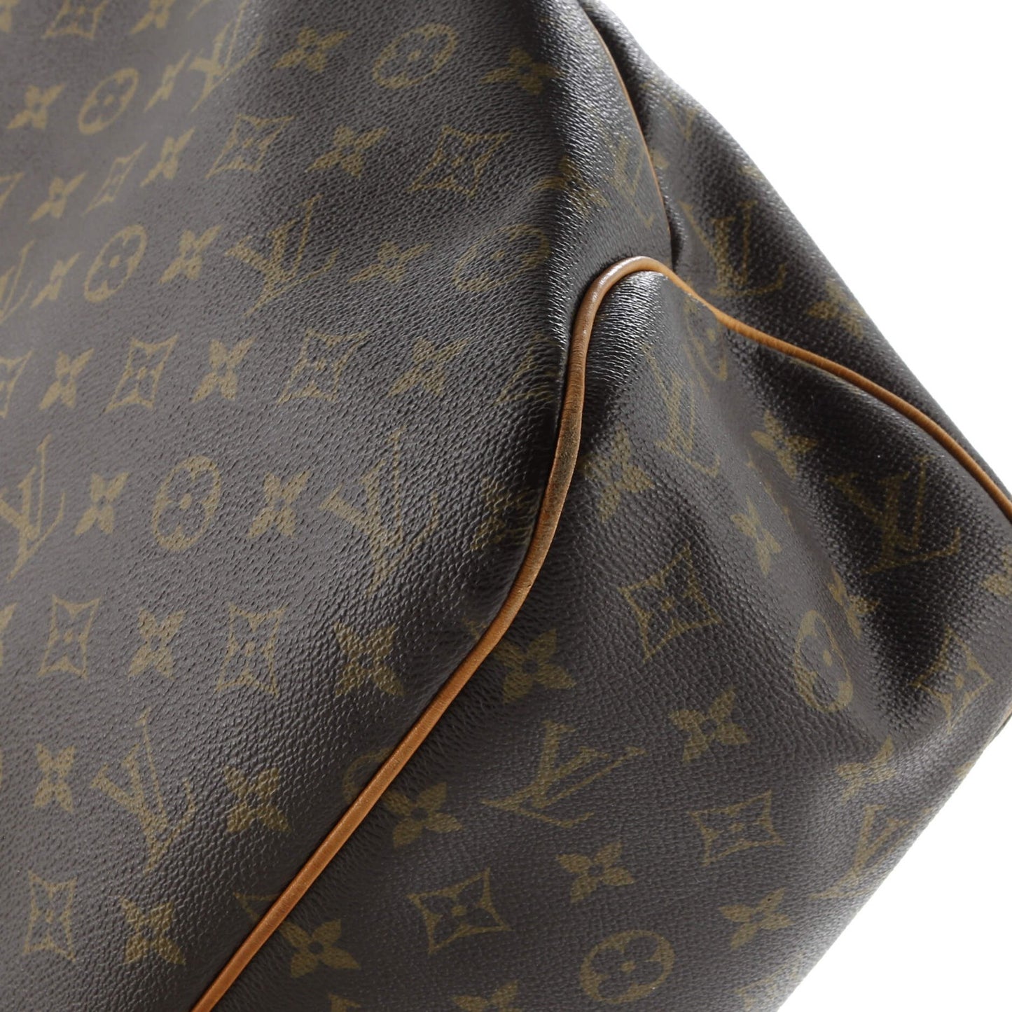 Louis Vuitton Delightful Handbag Monogram Canvas Mm
