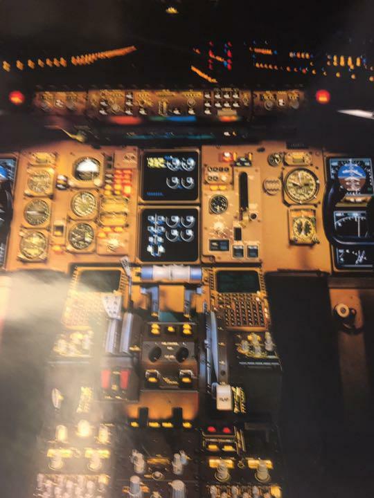 Original Vintage Poster Ana 767 Cockpit Airplane