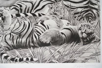 Beppe Spadacini (Italy) Original Silkscreen Print Save The Tigers Signed Framed