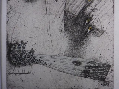 Veronika Paleckova "Peacock And Figure" Signed Etching Limited 30 Framed Art