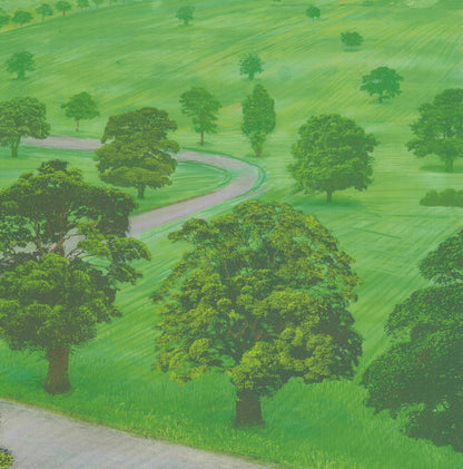 DAVID HOCKNEY Green Valley 19.5" x 24" Offset Lithograph 2008 Pop Art Green Gra