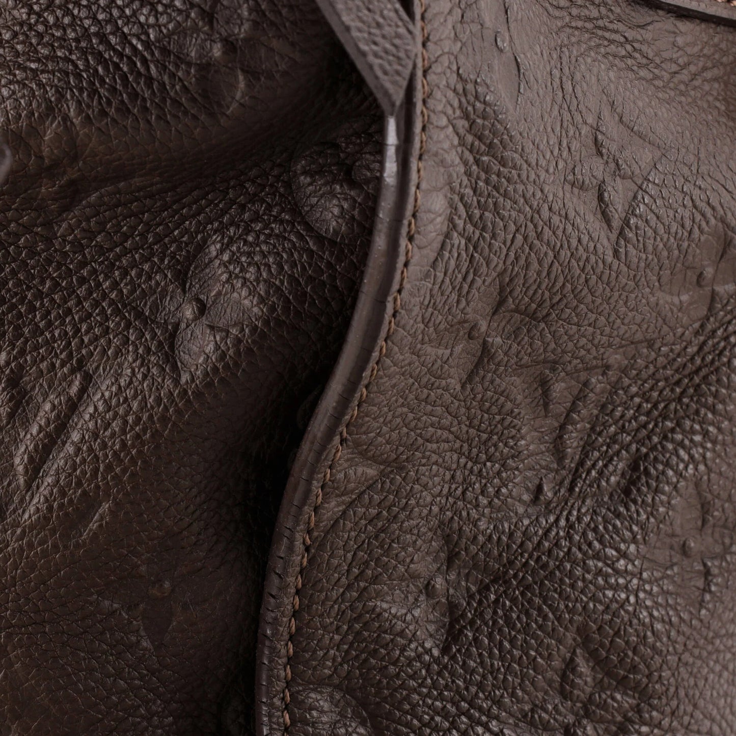 Louis Vuitton Lumineuse Handbag Monogram Empreinte Leather Pm