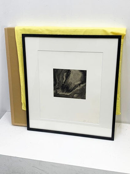 9 Anish Kapoor Original Etching Pencil Signed Numbered Framed ED30 Jacob Samuel