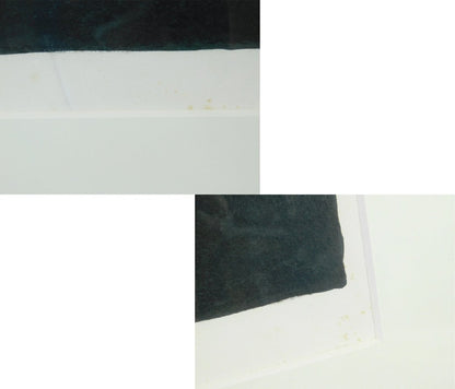 Bernard Cathelin Signed Original Lithograph Large Art Print Framed Avocado