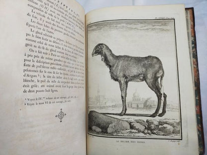1754 Buffon Histoire Naturelle Vol 11 First Ed Elephant Rhino Camel 42 Plates