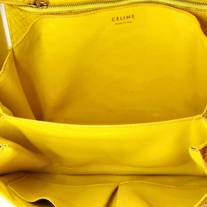 Celine Classic Box Bag Python Medium