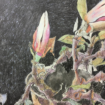 Horst Janssen Signed Poster "Magnolia" Berggruen Paris A2 66X44Cm German Artist