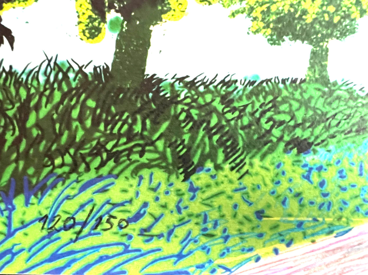 David Hockney Lithograph Coa Signed Op Numbered A Hand Limited