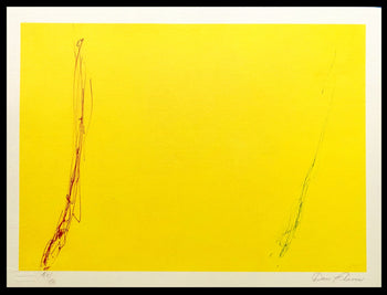 Dan Flavin Lithograph Coa Signed Op Numbered Pencil Stamp