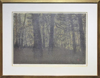 Joichi Hoshi Forest Scene 1976 Signed Woodblock Print 