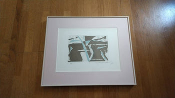 Albert Rafols Casamada Original Etching Estiu-4 Summer-4 Spain 1988 Signed Frame